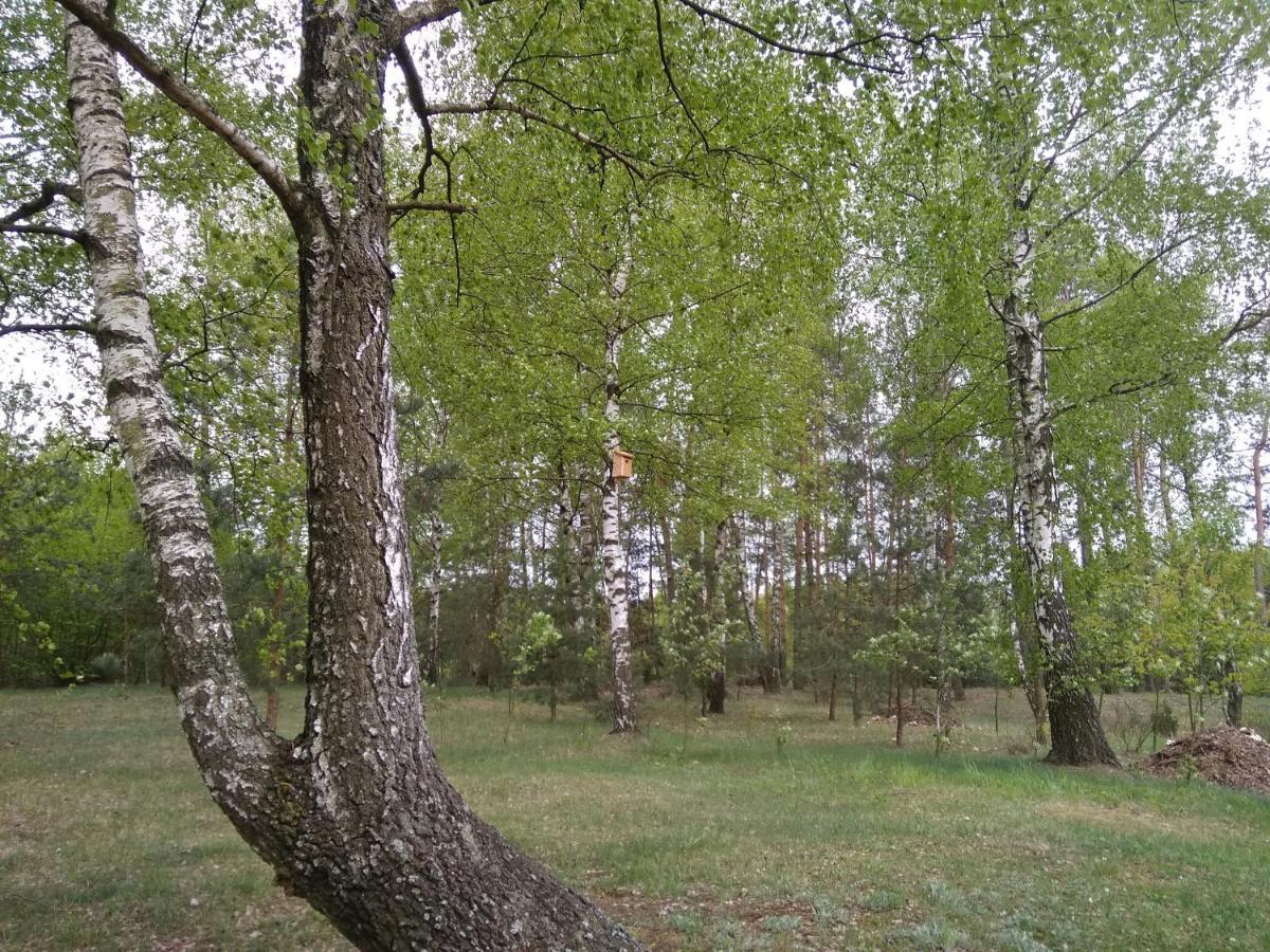 Pod Klonowym Sercem Kloczew Exteriör bild